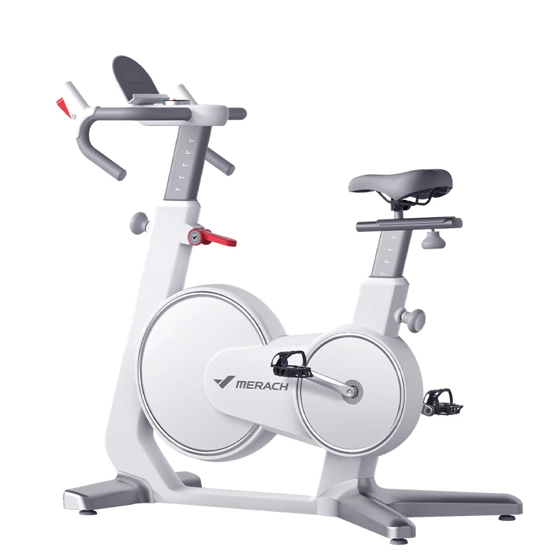 electromagnetic spin bike