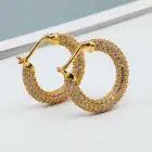 Hoop Earrings Earrings Silver Hoop Earrings 925 Sterling Silver Gold Plated Zircon Cz Paved Women Huggie Hoop Earrings