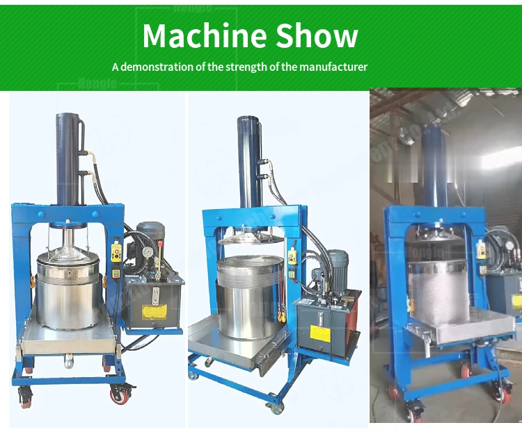 Hydraulic Cold Press Juicer Equipment Electric Citrus Juicer Stainless Steel Grape Squeezing Pressing Juice Making Machine factory