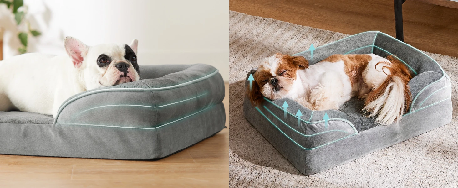 dog bed7