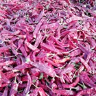 Sweet Powder Factory Direct Sales Of Pure Natural High Quality Sweet Paprika Powder Chilli Powder