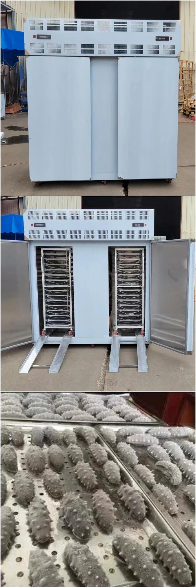 Blast Freezer, 220v, 700L - detail 10