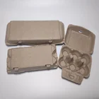 Egg Tray Mold Manufacturer Biodegradable Egg Box Cardboard Egg Carton Pulp Egg Tray Mold