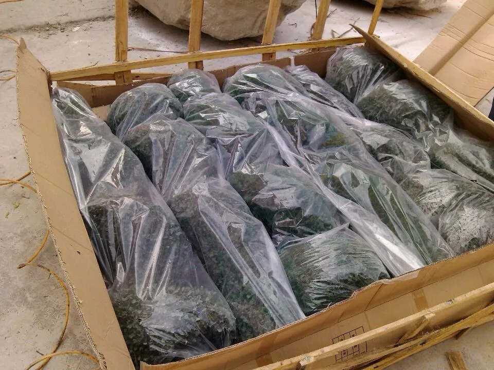 Artificial tree no without leaves white branches for centerpieces