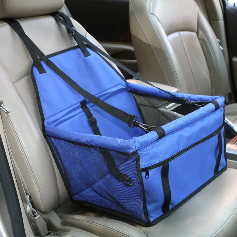 seat pets blue dog