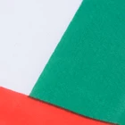Flag Attractive Price New Type 2021 Wholesale 100% Polyester United Arab Emirates Flag