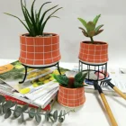 Best Selling Home Decor Cute 3 Color Flower Pot Ceramic Indoor Terracotta Big Plant Pot