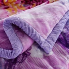 China High Quality Blanket Hot Sale High Quality 2 Ply 100% Polyester Soft World Class Raschel Blanket Make In China
