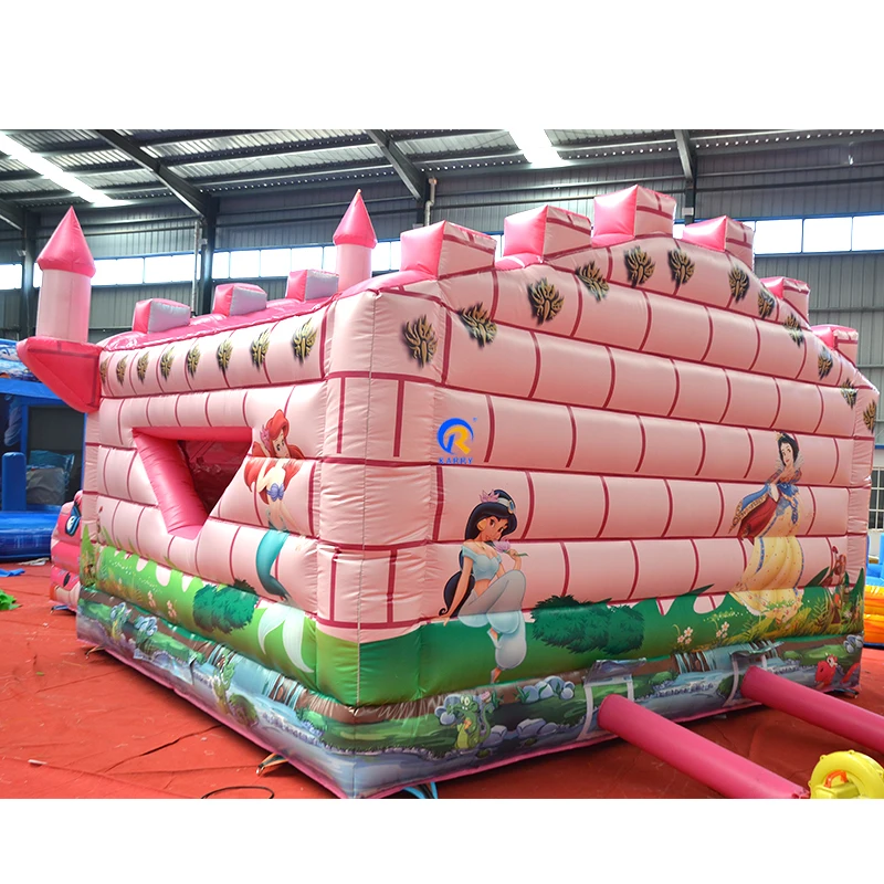 pink-castle3.jpg