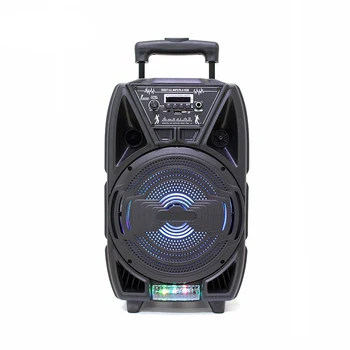 DS-1804 Hot Sale Best Bass Dj Bluetooth Subwoofer Trolley Speaker 8 inches Speakers