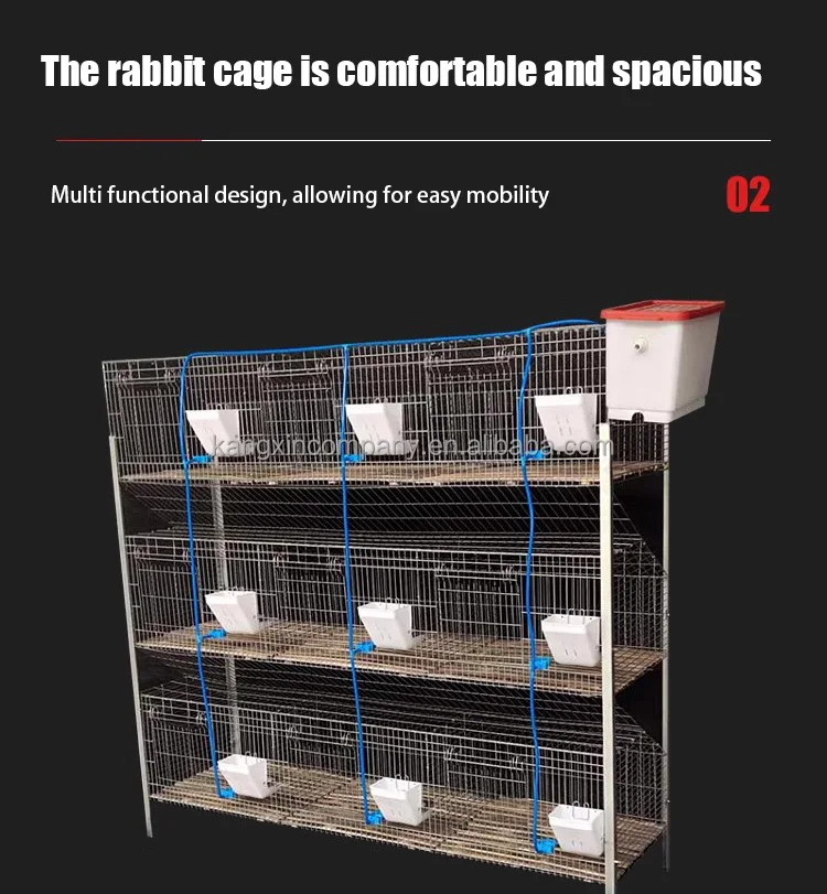 High Efficiency Breeding House Attached Nest Box And 40 Rabbit Cages