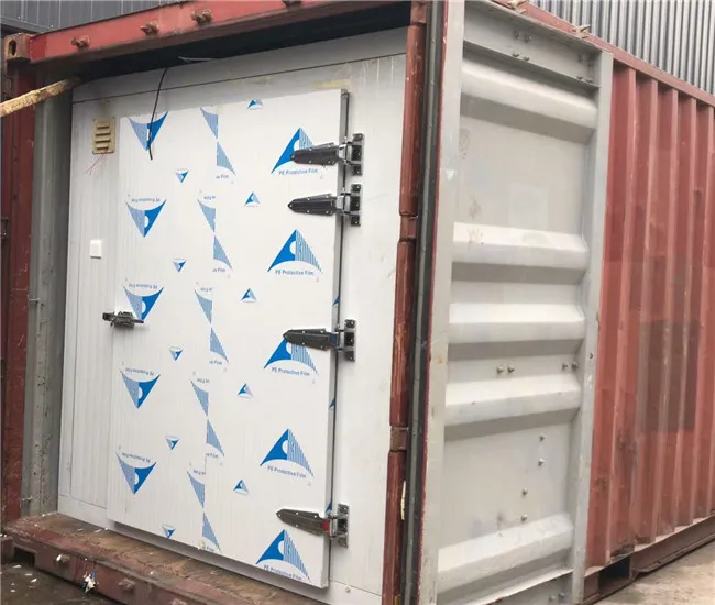 Cold Rooms and Freezer, 32M3, 20Ft - detail 6