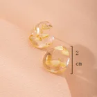 Resin Earring Resinresin Fashion Clear Resin Natural Real Pressed Dried Flower Earring For Women New Jewelry