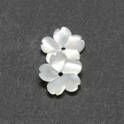 Natural Color Wuzhou Sale Loose Natural Shell Color White Shape Flower Gemstone