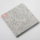 Stone Stone Paving Samistone 150x150x20mm White Granite Paving Stone Natural Stone