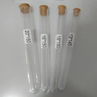 Plastic Tube Factory Test Tubes Hot Sale 20x150mm Plastic Test Tube Manufacturers
