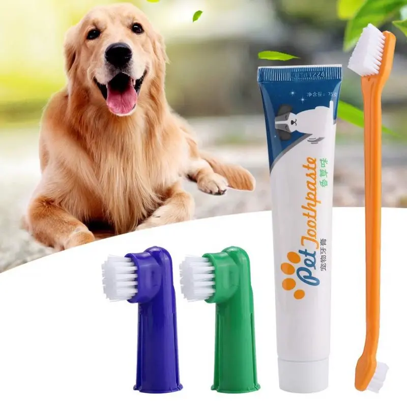 best toothpaste for golden retrievers