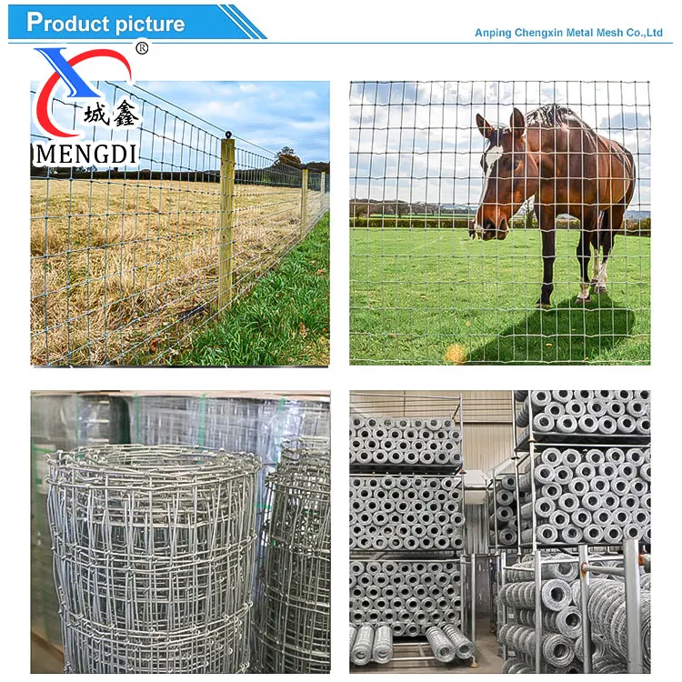 horse fence.jpg