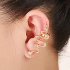 Earrings Exaggerated Serpentine Unilateral Ear Stud Vintage Metal Fashion Earrings