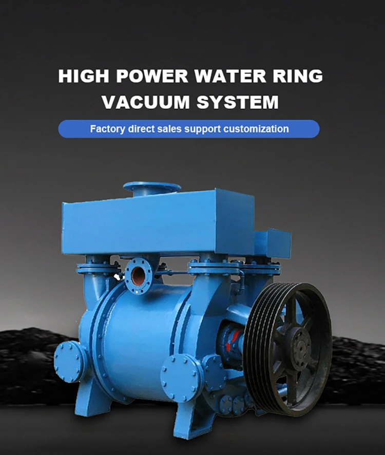 High Vacuum Speed Pump, Electric, 2BE - detail 2