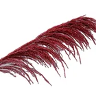 Dry Grass Extra Large Colored Dry Reeds Plumes Decoration Dried Red Pampas Grass