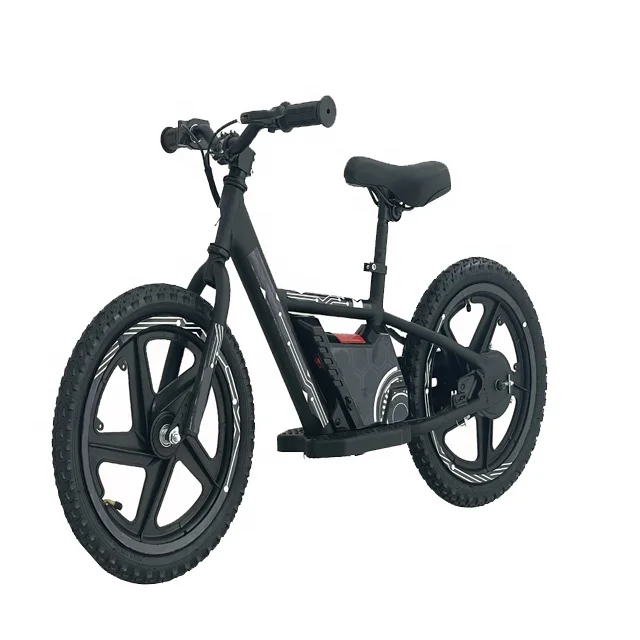 iron 16 electric bike