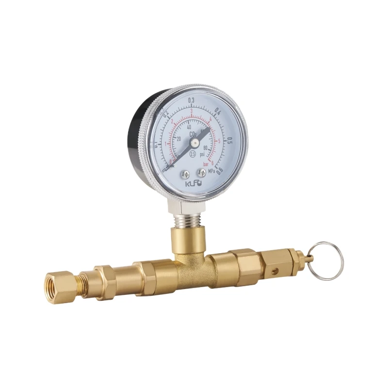 product gas pressure regulator one inlet thread with one gauge release pressure valve for test-1