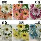 Chrysanthemum Artificial Flower Efficient And Durable Most Popular Factory Outlet Simulation Chrysanthemum