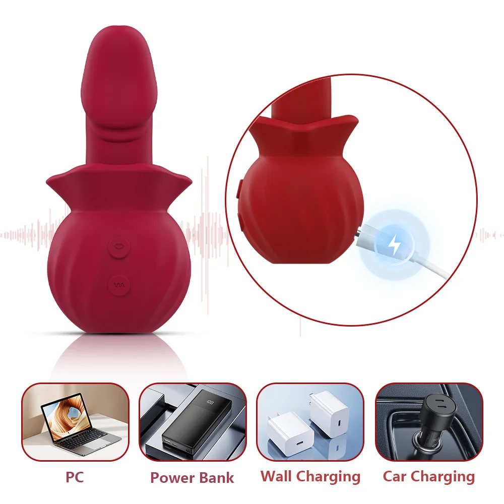 3-in-1 USB Powered Gspot Clitoral Vibrator with Sucking Dildo 3 Sucking 10 Wiggling 10 Vibrating Sex Toys for Women