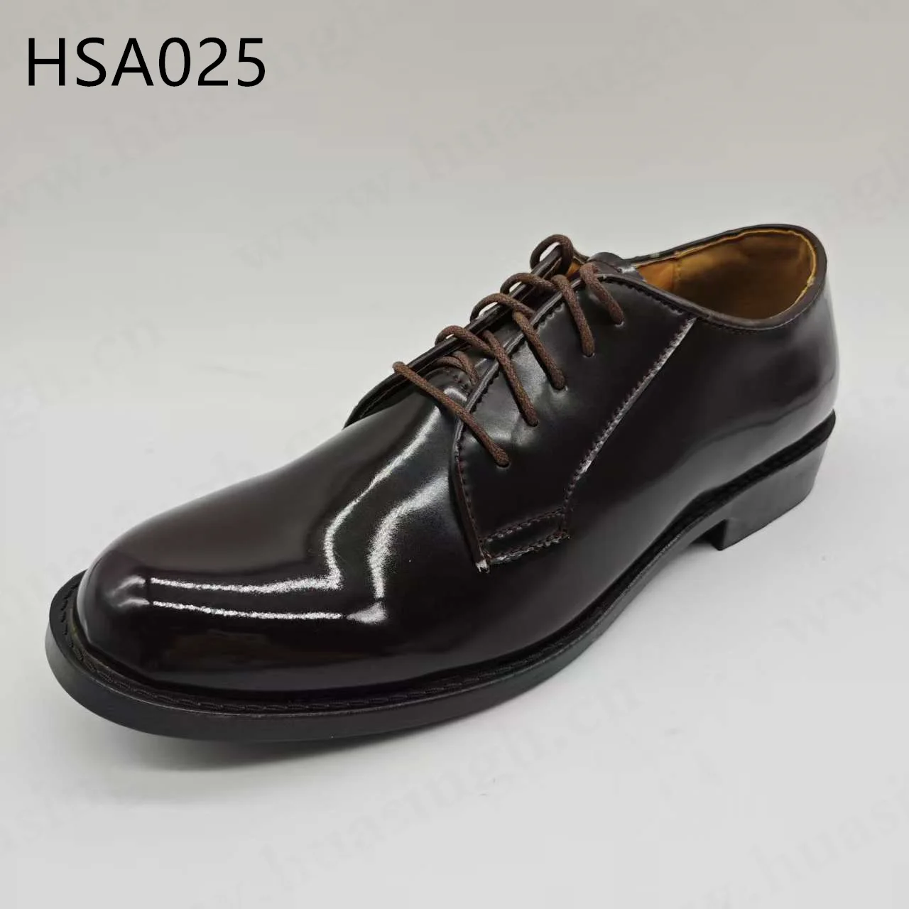 HSA025 ()