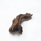 Decoration Coral Best Selling Various Shapes Fish Tank Tree Root Art Decoration Coral Sinking Wood