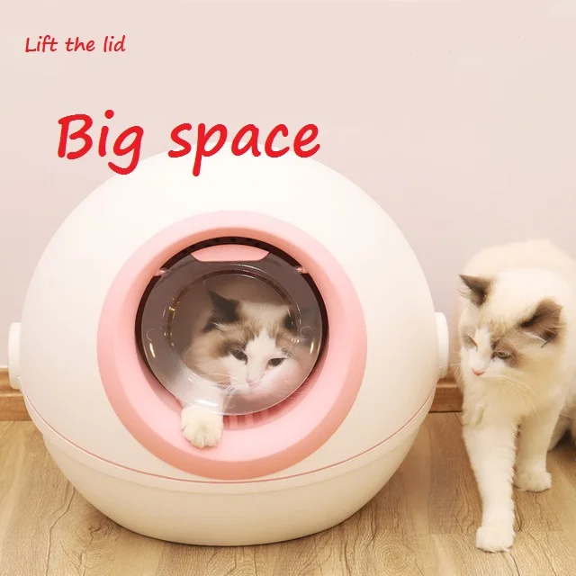 cute litter box