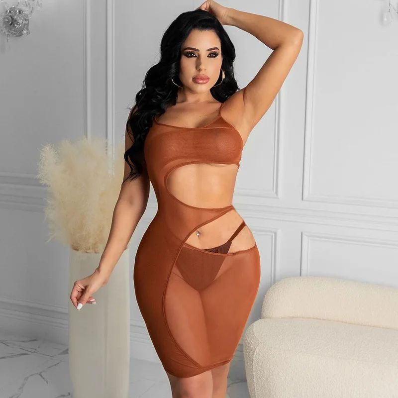Sheer Mesh Midnight Party Mini Dresses 