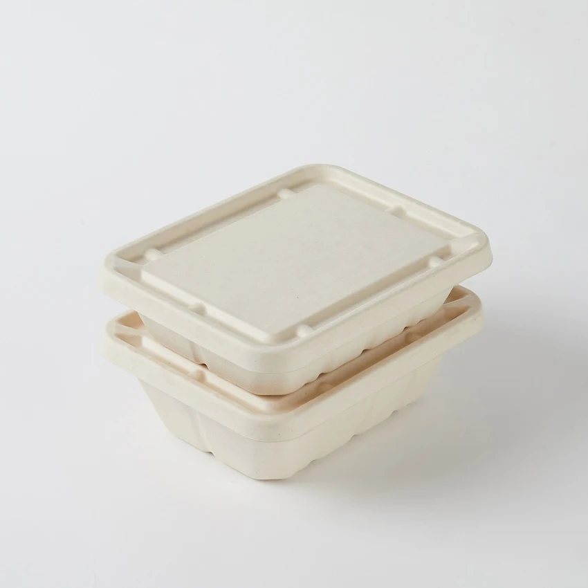 Friendly Biodegradable Sugarcane Bagasse Container Eco Friendly Food