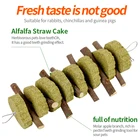 Pet Chew Toy Rabbit Molar String Molar Stone Teeth Care