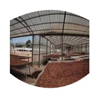 OEM Fresh Roasted Indonesia Yunnan Civet Coffee Bean