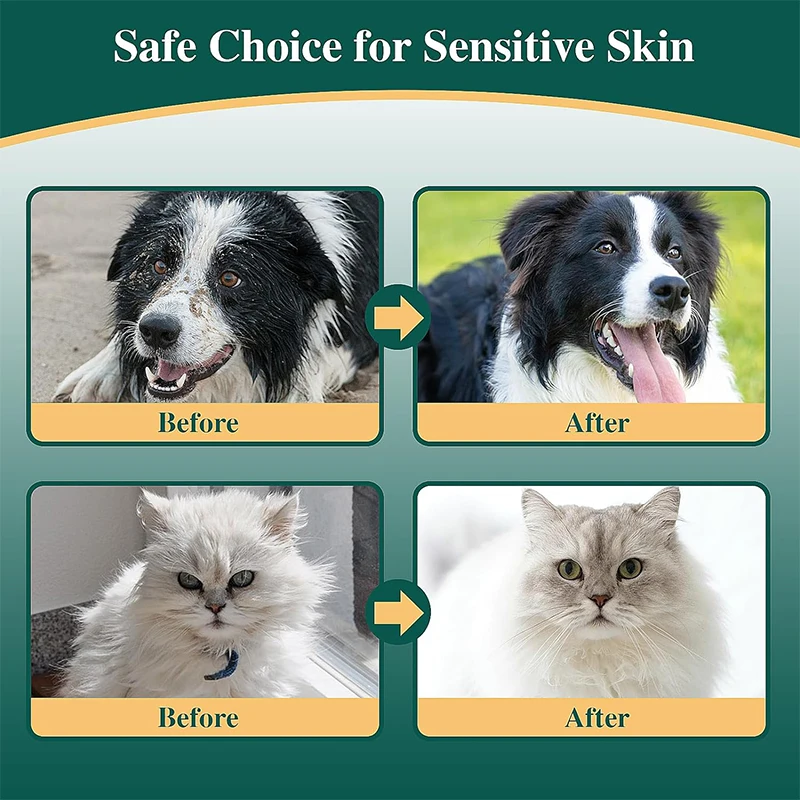  Exceptional Pet Grooming Services in Denver, CO - Your Pet Deserves the Best!