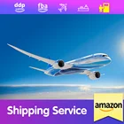 China suppliers fast safety door to door service ddp ddu fba air freight forwarder to united states