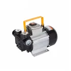 Pumps Gear Pumps AC220V Diesel Driven Gear Pumps Fueil Oil Transfer Pumps