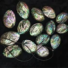 Shell Factory Direct Sale Size Is About 40x50mm Natural Abalone Shell DIY Jewelry Accessories
