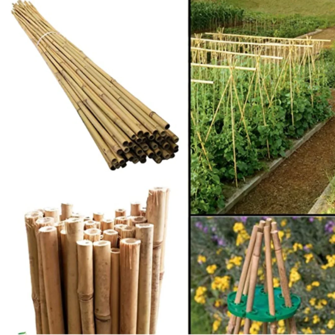 stake bamboo