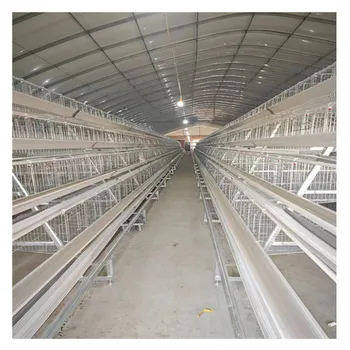 Poultry Cages Feeding Systems: 120 Layers For Sale In Nigeria Chicken Cage