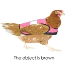 Jacket Made In China Superior Quality Polyester Reflective Chicken Jacket