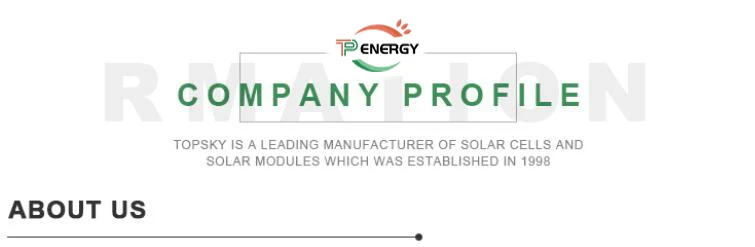 TP Energy company profile.jpg