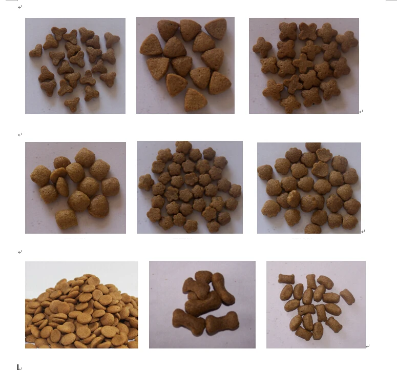 Animal Feed Processing Machines 50kg/h 80kg/h 100kg/h Fish Pet Cat Dog Food Extruder Processing Machine details