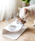 Petstar Cat Double Food Bowl Pet Food Water Elevated Pet Feeding Bowl With Raised Stand