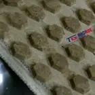 Machine Cookie Biscuit Cookie Machine Multi-functional Small Biscuit Making Machine Biscuit Cookie Machine Video
