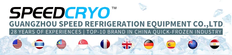 Blast Freezer, SPEEDCRYO, 380, 10000 - detail 2