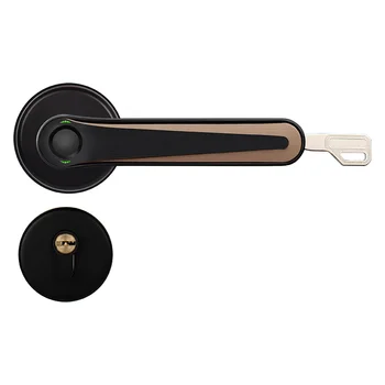 r Magnetic Fingerprint Padlock Electronic Mortise Slide Cerradura Door Handle Digital Tuya Smart Locks For Wooden Doors