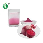 Natural 100% Natural Healthy Food Bulk Natural Concentrate Red Beet Juice Powder